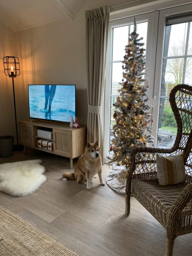 salon met kerst