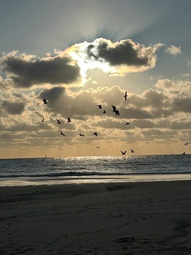 strand4